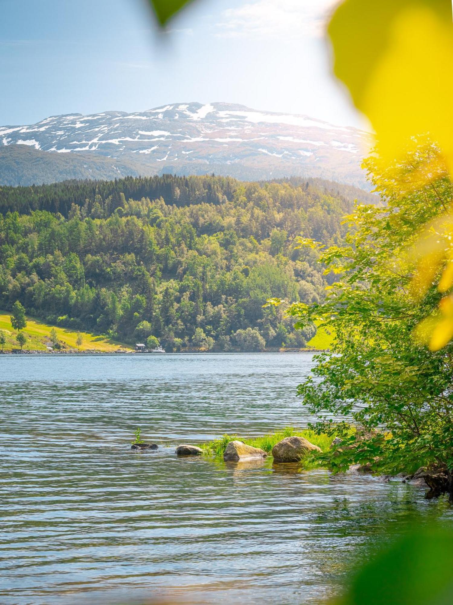 Ulvik Camping Zewnętrze zdjęcie